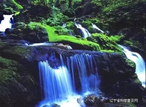 秘密基地找不同